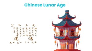 Chinese Lunar Age