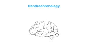 Dendrochronology The Science Behind Tree Age
