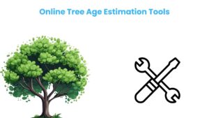 Online Tree Age Estimation Tools