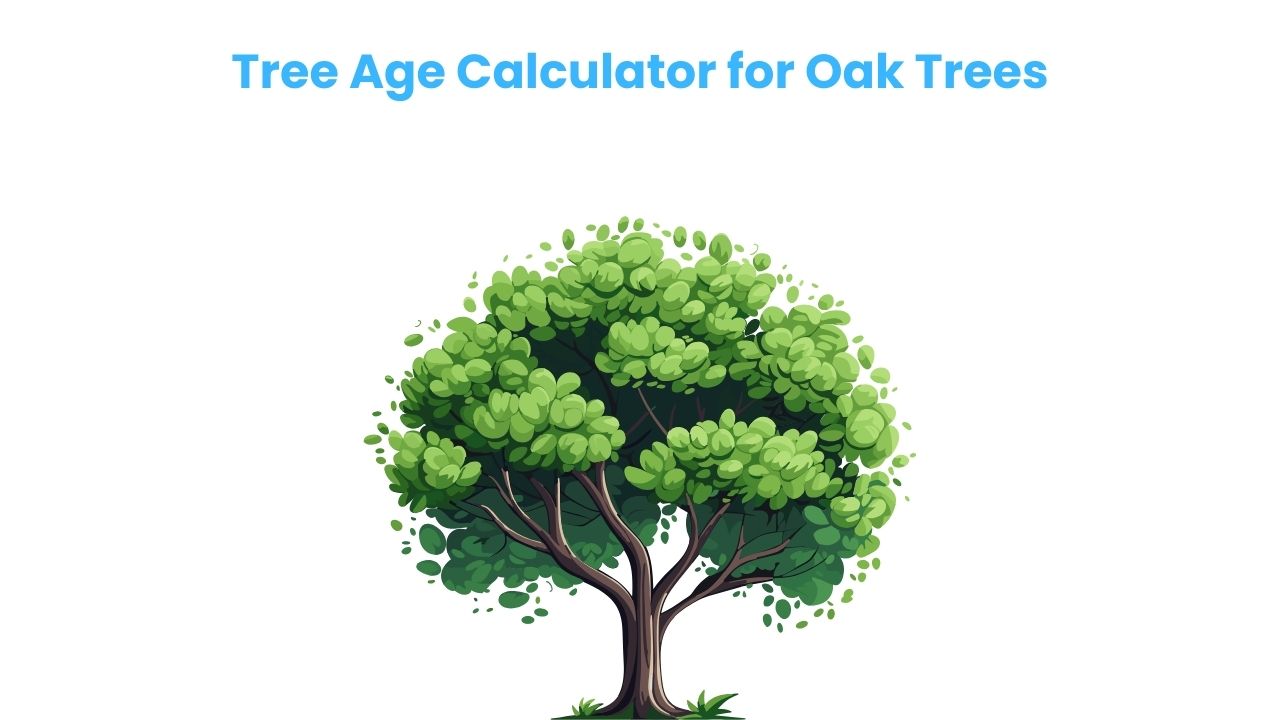 Tree Age Calculator for Oak Trees