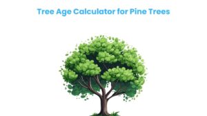 Tree Age Calculator for Pine Trees