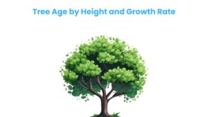 Tree Age by Height and Growth Rate